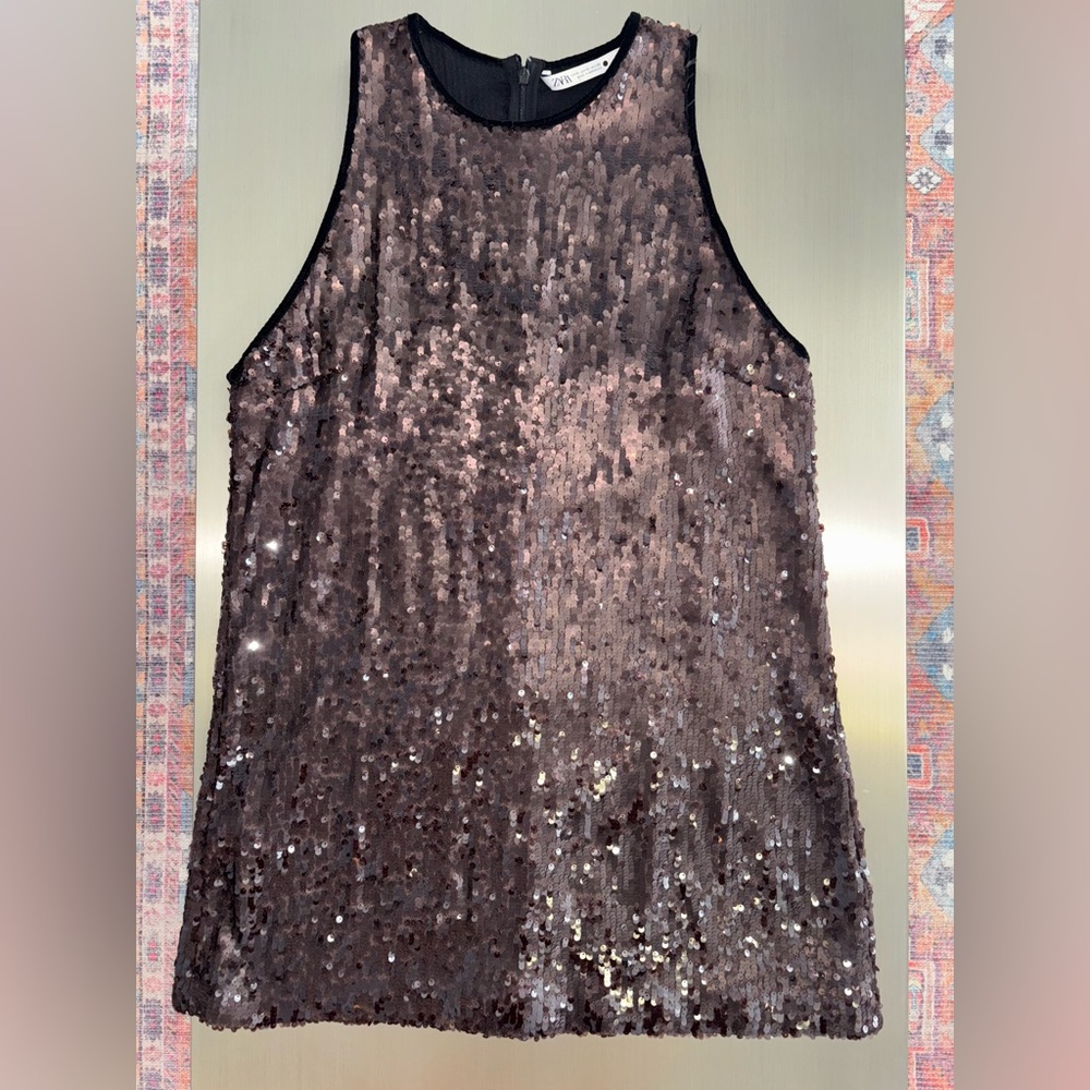 Zara Sequin Sleeveless Dress
